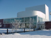 dogwood-in-snow-41